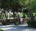 Campeggio Pineta Camping