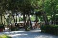 campeggio Pineta Camping