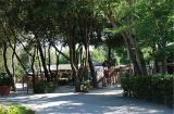 Pineta Camping