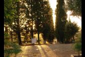 Villa Saulina