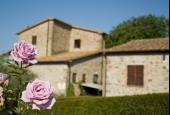 Antico Casale di Scansano