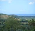 AGRITURISMO COLLE DONATUCCI