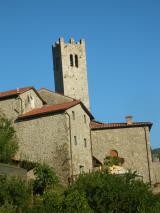 Agrilago