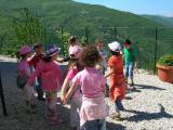 Agrilago