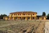 Case Gialle