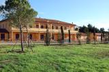 Case Gialle