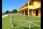 Case Gialle
