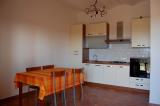Case Gialle