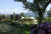Tenuta Quadrifoglio