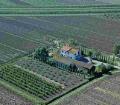 AGRITURISMO AUNTI
