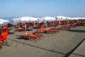 Cormorano