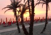 Cormorano