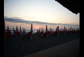 Cormorano