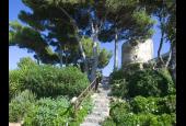 Torre di Cala Piccola