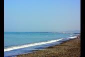 Free Beach