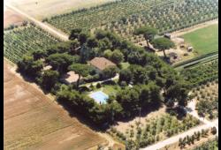 Ferma Wakacje I Cavalleggeri