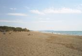 I Cavalleggeri