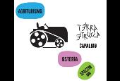 Terra Etrusca