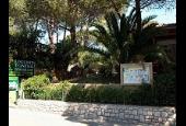Agenzia Immobiliare Tonino