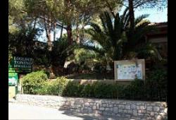 Apartment Agenzia Immobiliare Tonino