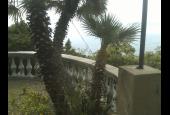 Agenzia Immobiliare Tonino
