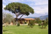 Casa Vacanze La Tortuga