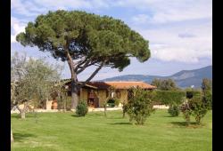 Case Vacanza Casa Vacanze La Tortuga