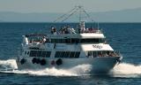Blu Navy Cruise Tour