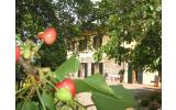 Agriturismo Agriturismo Il Gelso