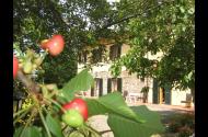 Agriturismo Il Gelso