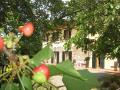 Farmhouse Agriturismo Il Gelso