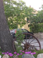 Agriturismo Il Gelso
