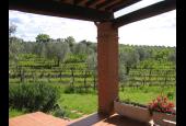 Azienda Agricola Coliberto