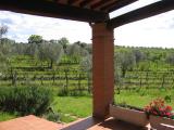 Azienda Agricola Coliberto