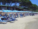 Il Boschetto