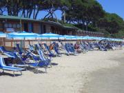 Il Boschetto