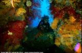 Argentario Divers