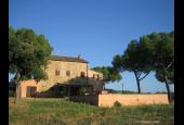 Bronzivalle