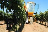 Azienda Bruni