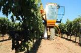 Azienda Bruni