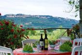 Tenuta Il Cicalino