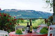 Tenuta Il Cicalino