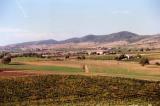 Poggio Ciliegio