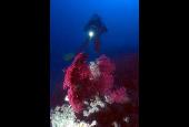 Diving Centro Sub a Cecina