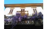 Alberghi ELBA HOTEL