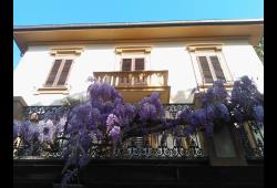 Alberghi ELBA HOTEL