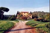 Fattoria Lecceto