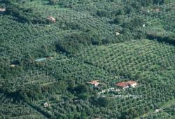 Vertrek Fonte di Foiano