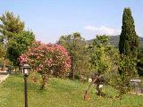 Agriturismo Il Gelso