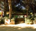Plaats Il Gabbiano Camping Village